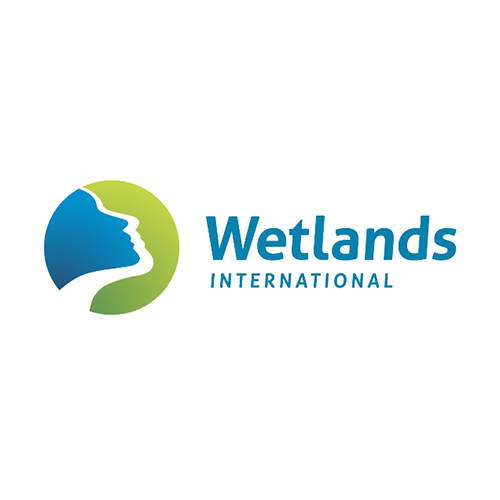 wetlands